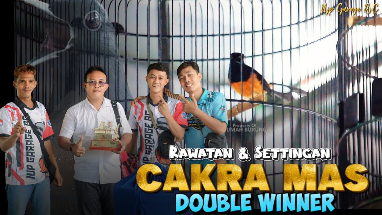 RAWATAN & SETTINGAN CAKRA MAS DOUBLE WINNER 