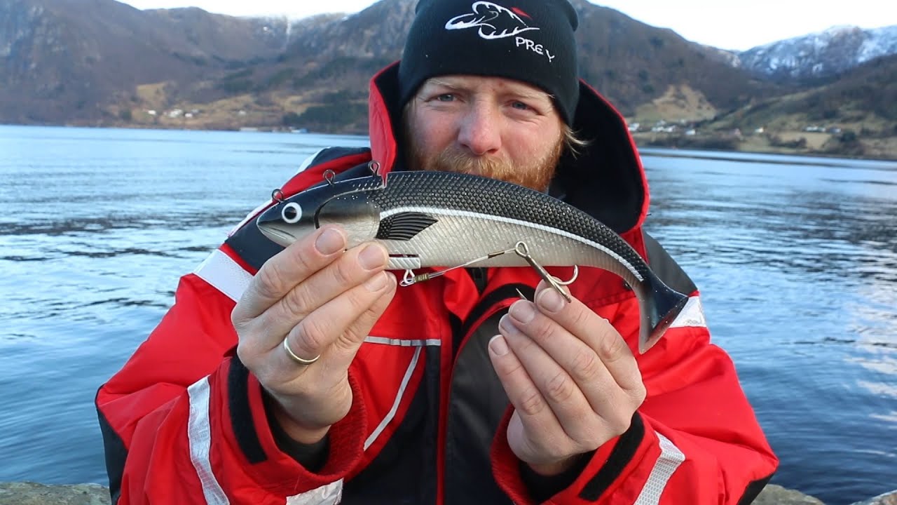 Prey Halibut Target