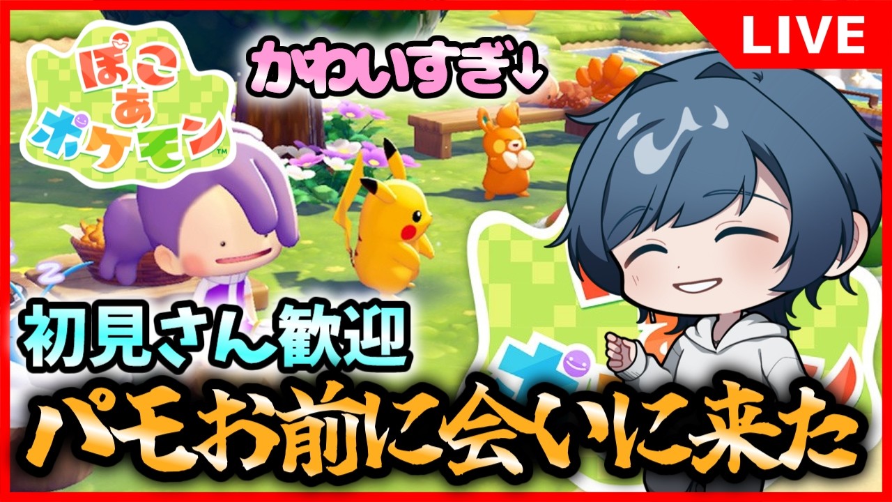 【初見さん歓迎】パモが大好きすぎるポケモン初心者【ぽこ あ ポケモン】