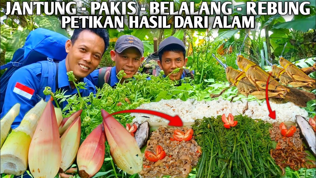 OLAHAN LEZAT HASIL DARI ALAM | PAKIS - JANTUNG - REBUNG - BELALANG | MUKBANG TUMBUHAN LIAR | MUKBANG