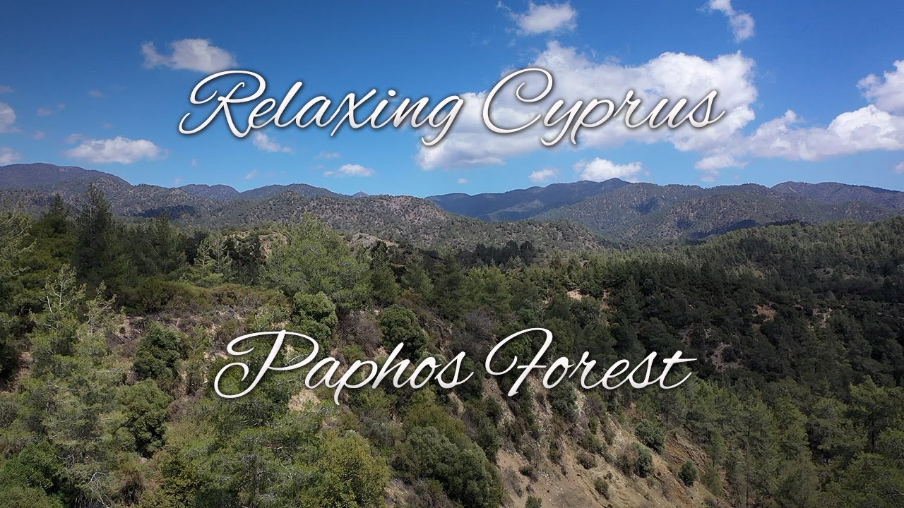Relaxing Cyprus - Paphos Forest