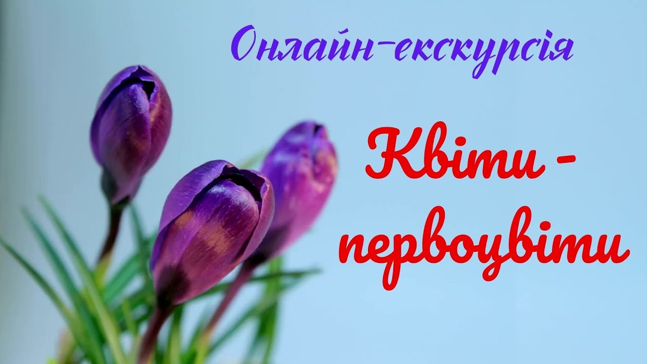 «Квіти-первоцвіти». Онлайн-екскурсія для дітей