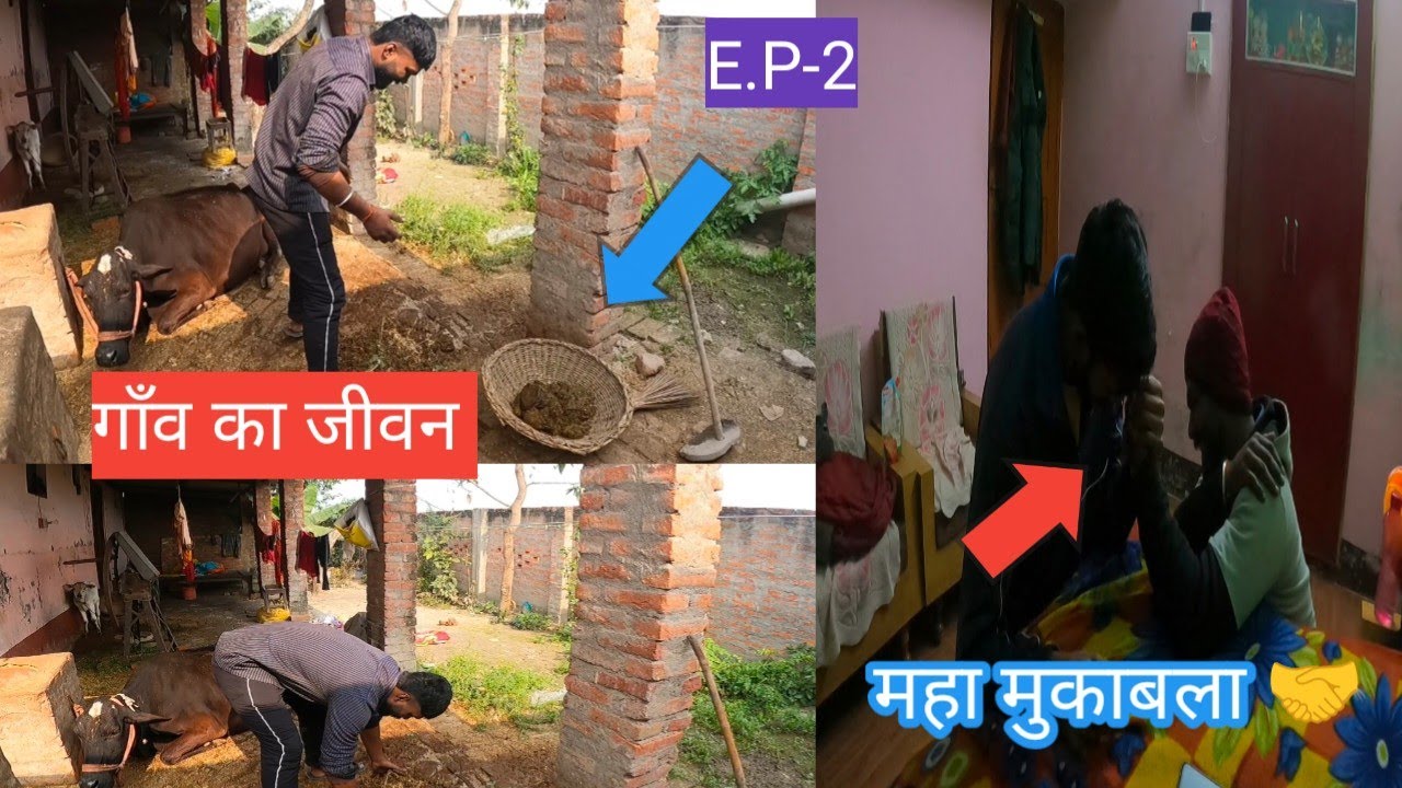 गांव की जिंदगी कैसे जीते हैं बलिया #ballia  ganv ki life kaise ? || Rider Ramraj