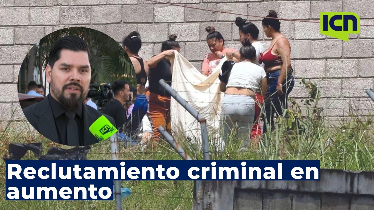 Deficiencia estatal impulsa reclutamiento criminal de mujeres y jóvenes, explica Nelson Castañeda