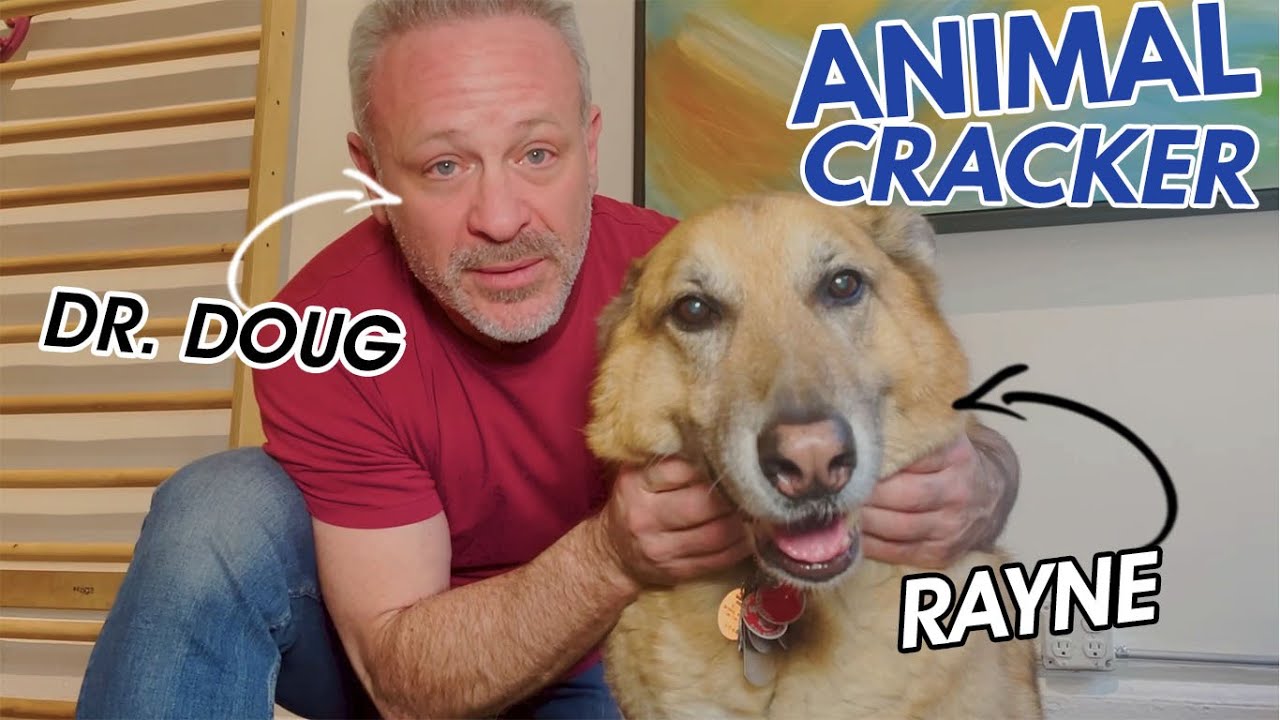 SENIOR GERMAN SHEPHERD HAS TROUBLE WALKING 🐾   [PART 1]