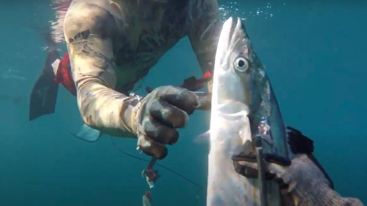 Catch & Cook - Beach diving South Florida