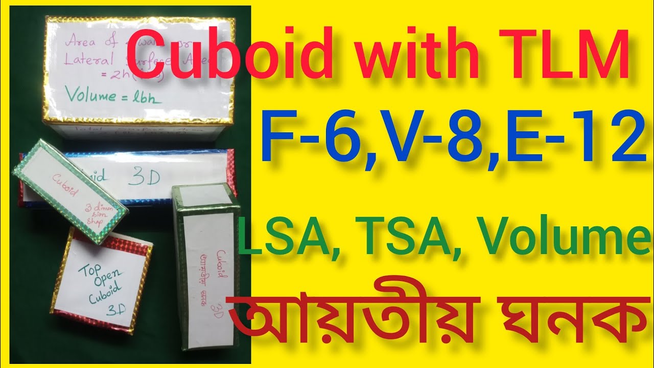 🔥Cuboid explain Easy🤔 😇 😃with TLM |আয়তীয় ঘনক|LSA, TSA, VOLUME|F-6,V-8, E-12📌 