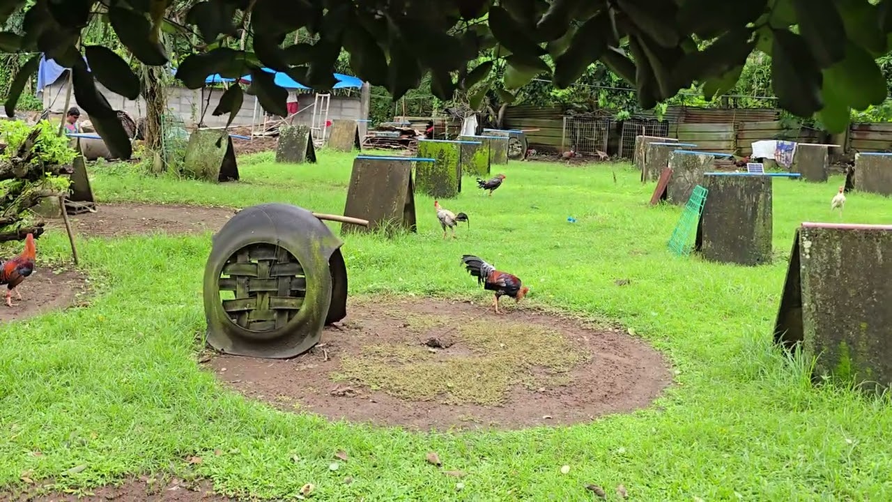 Bisitahin ang mga winner part 2