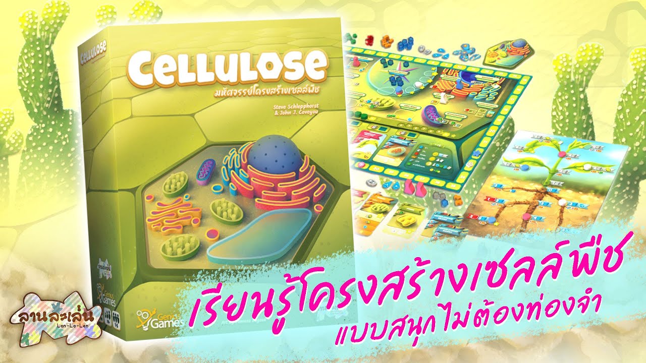 Lanlalen EP548: Cellulose มหัศจรรย์โครงสร้างเซลล์พืช [เวอร์ชั่นไทย]