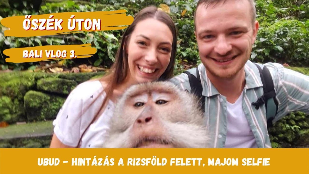 Őszék úton - Ubud, templom, majmok - Bali vlog 3.