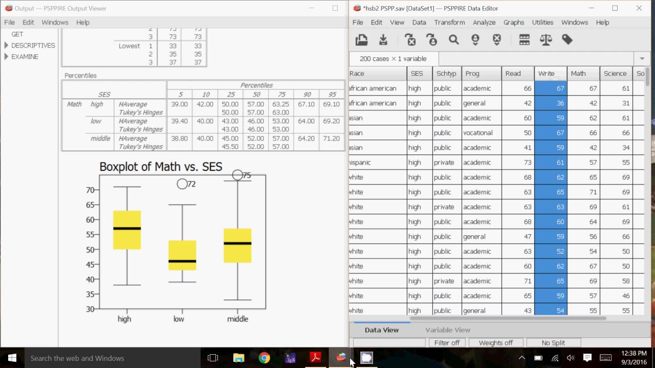 PSPP: Descriptive Statistics