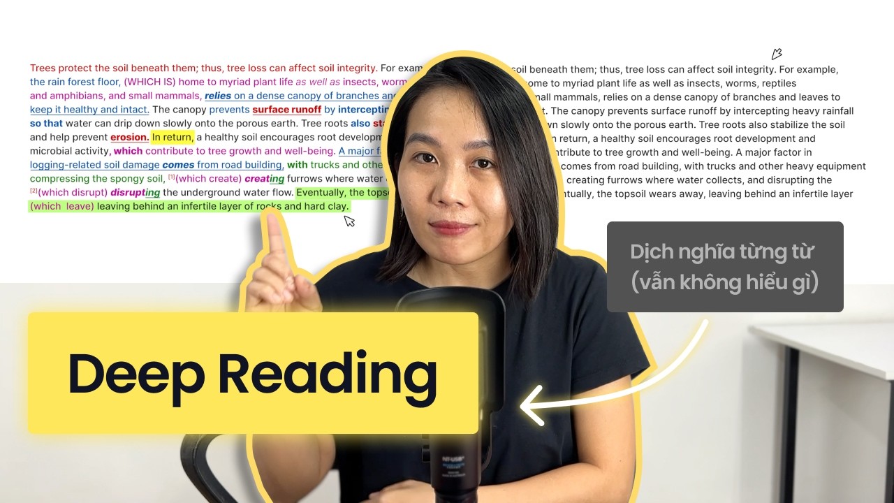 Cách đào sâu bài Reading để phân tích câu & Viết giỏi hơn!