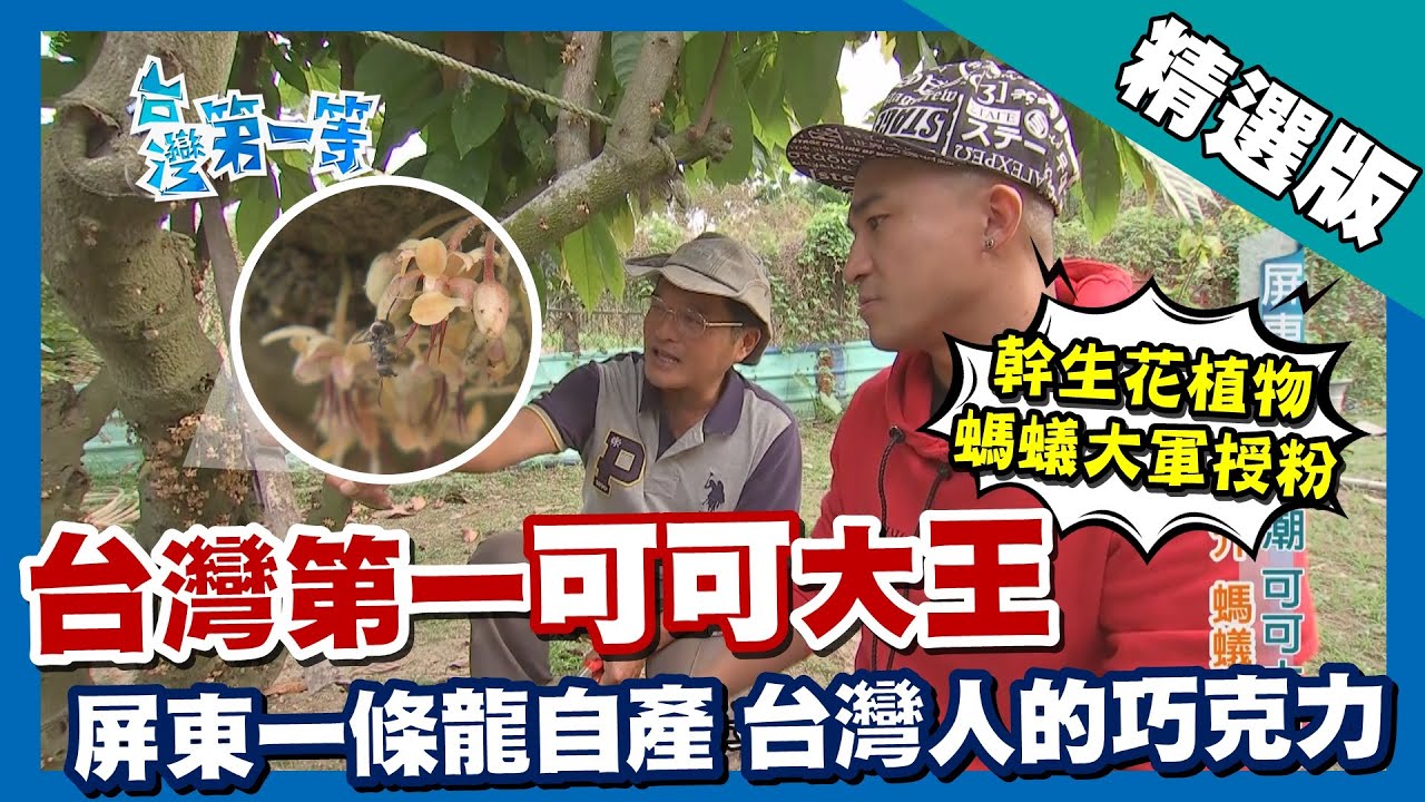 台灣第一等【台灣第一可可大王 屏東巧克力產銷一條龍】屏東 _精選版 #好家在我在家