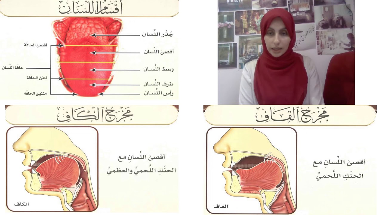 19. مخارج الحروف (المخرج الثالث: اللسان) - 1 -