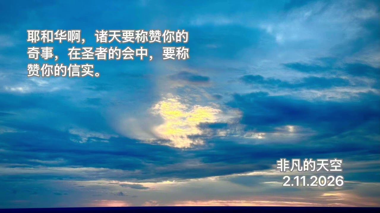 2026年2月12日