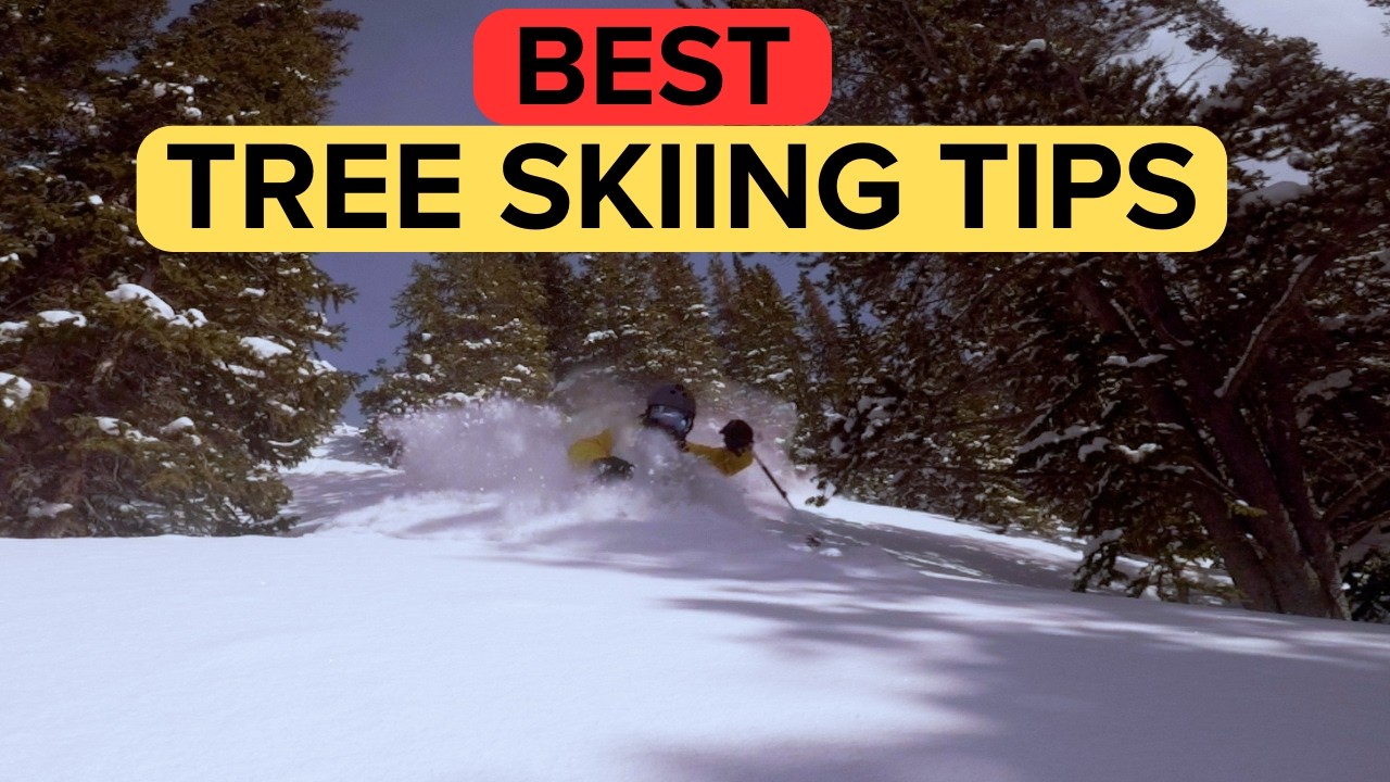 Tree Skiing Tips to Level Up Your Technique | Colorado Glades
