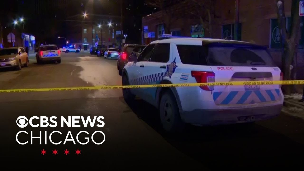 Chicago police investigating two deadly carjackings, two other similar crimes