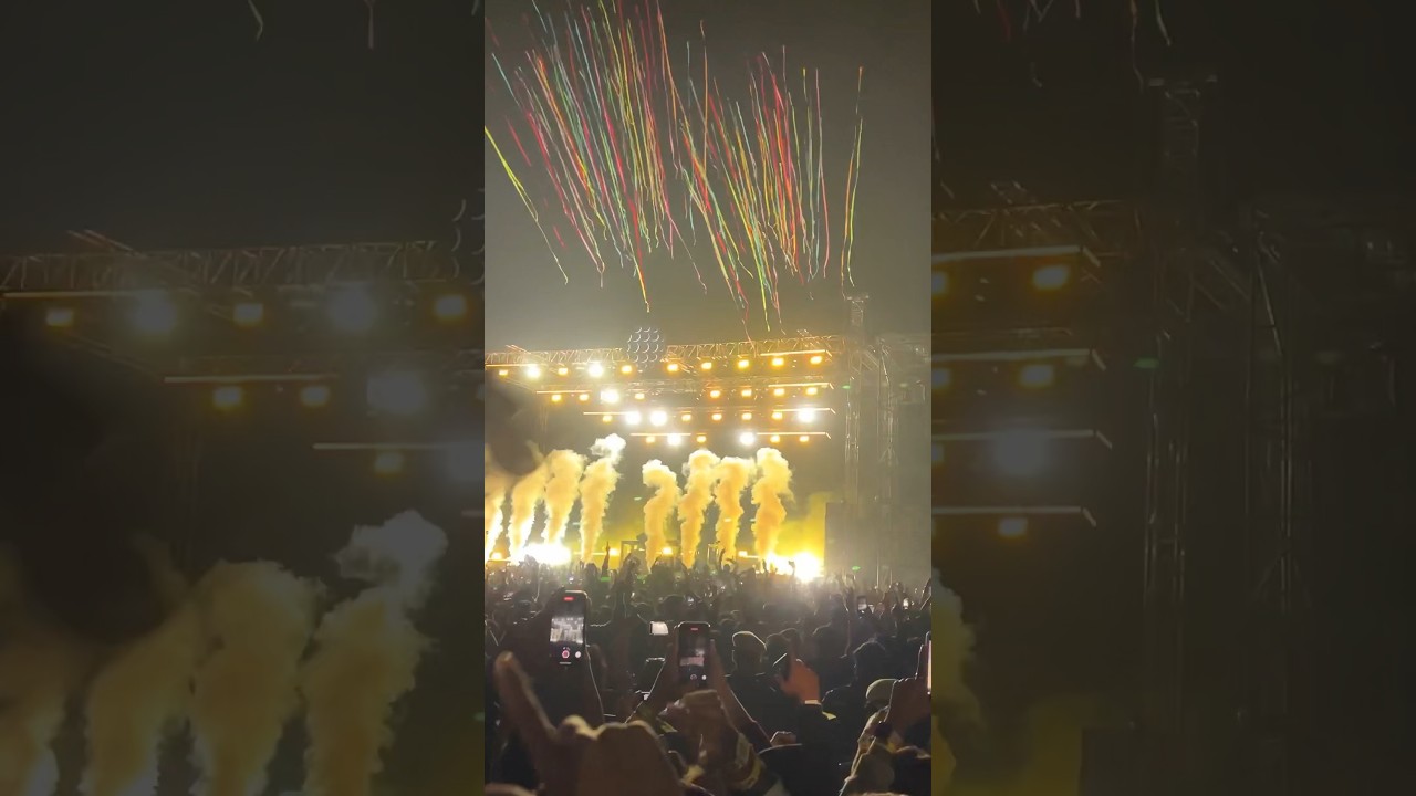 DJ Snake concert in India 