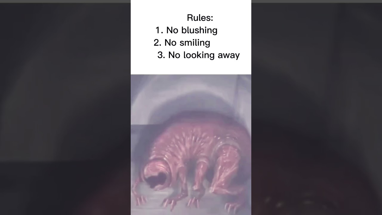I love da Trimming #memes #mimic #vitacarnis #trimmings