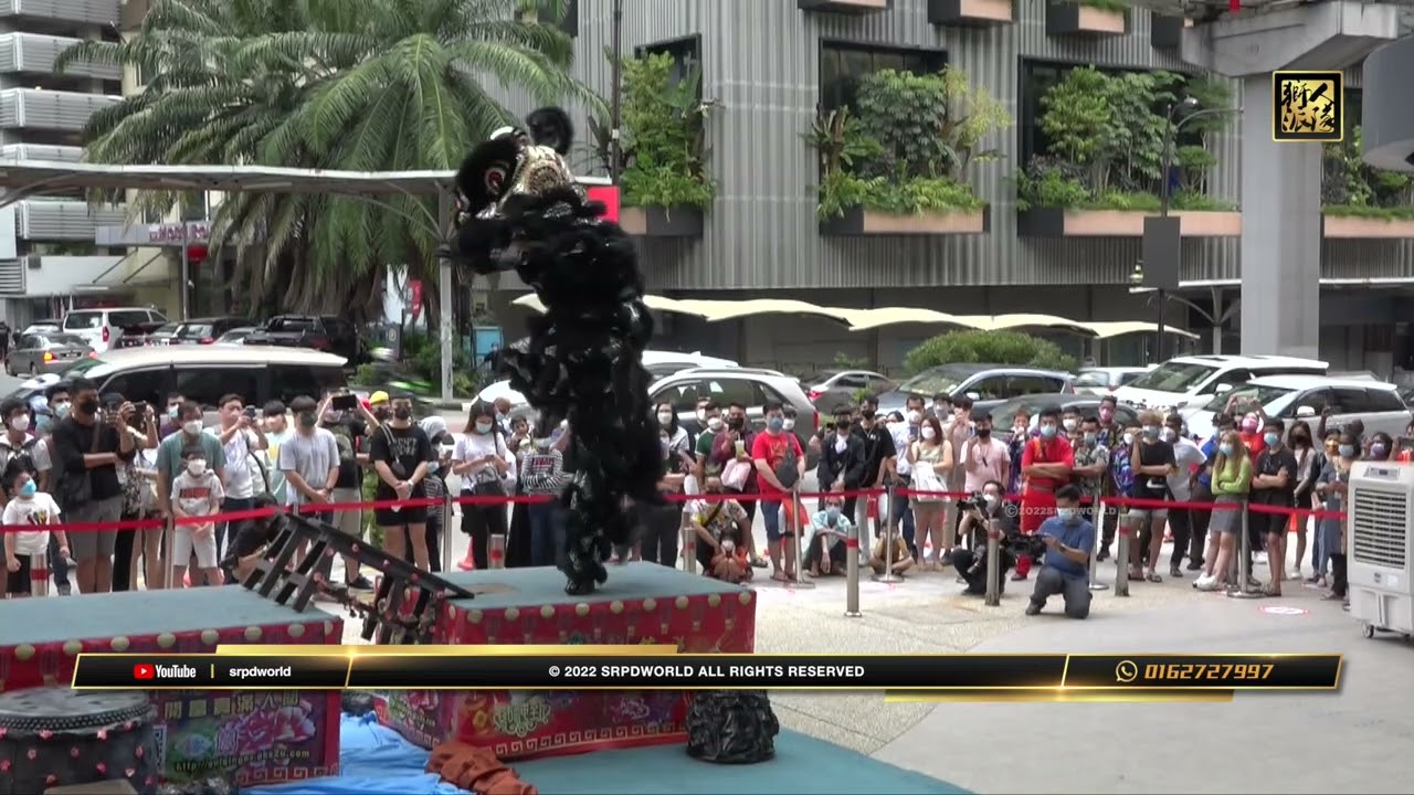 2022 首屆金河廣場全國傳統舞獅比賽 Sungai Wang Plaza Traditional Lion Dance Competition - 森州桂青文藝協會龍獅團