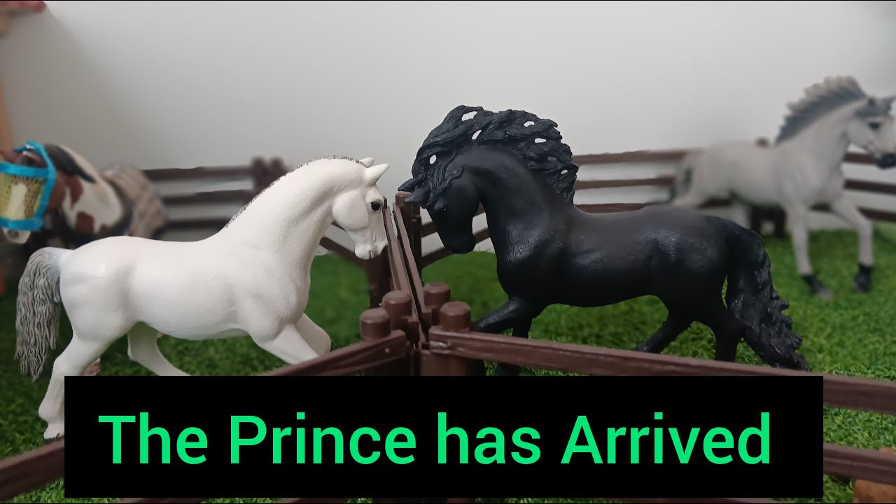 The Prince has Arrived