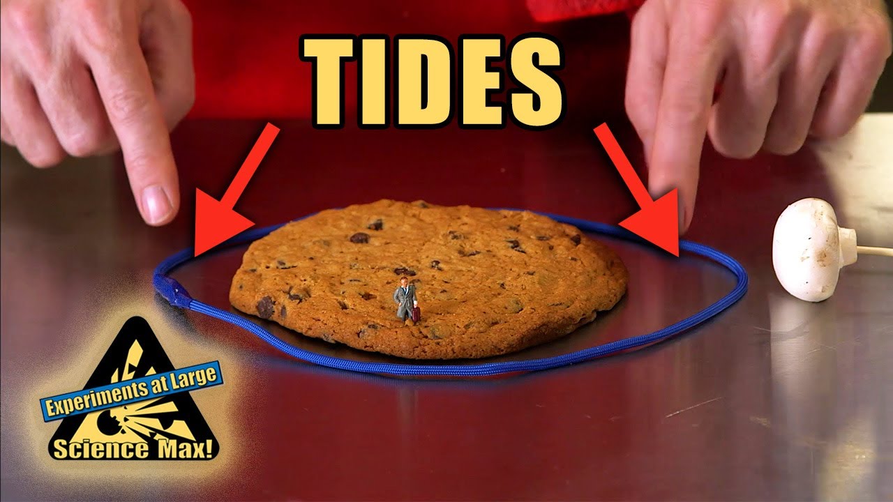 Gravity & Tides | Cooking with Science | Science Max