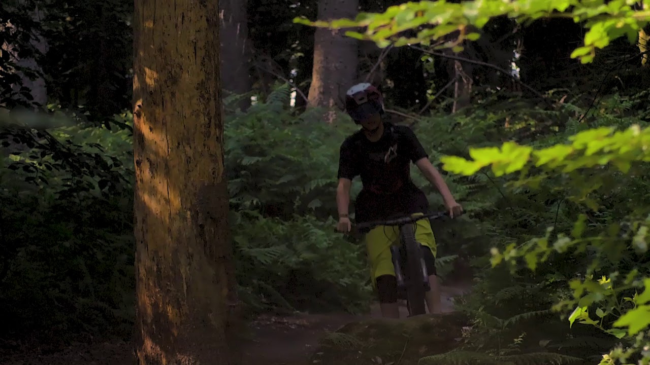 Heisingen edit