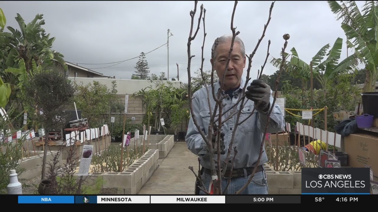 Winter gardening pro tips