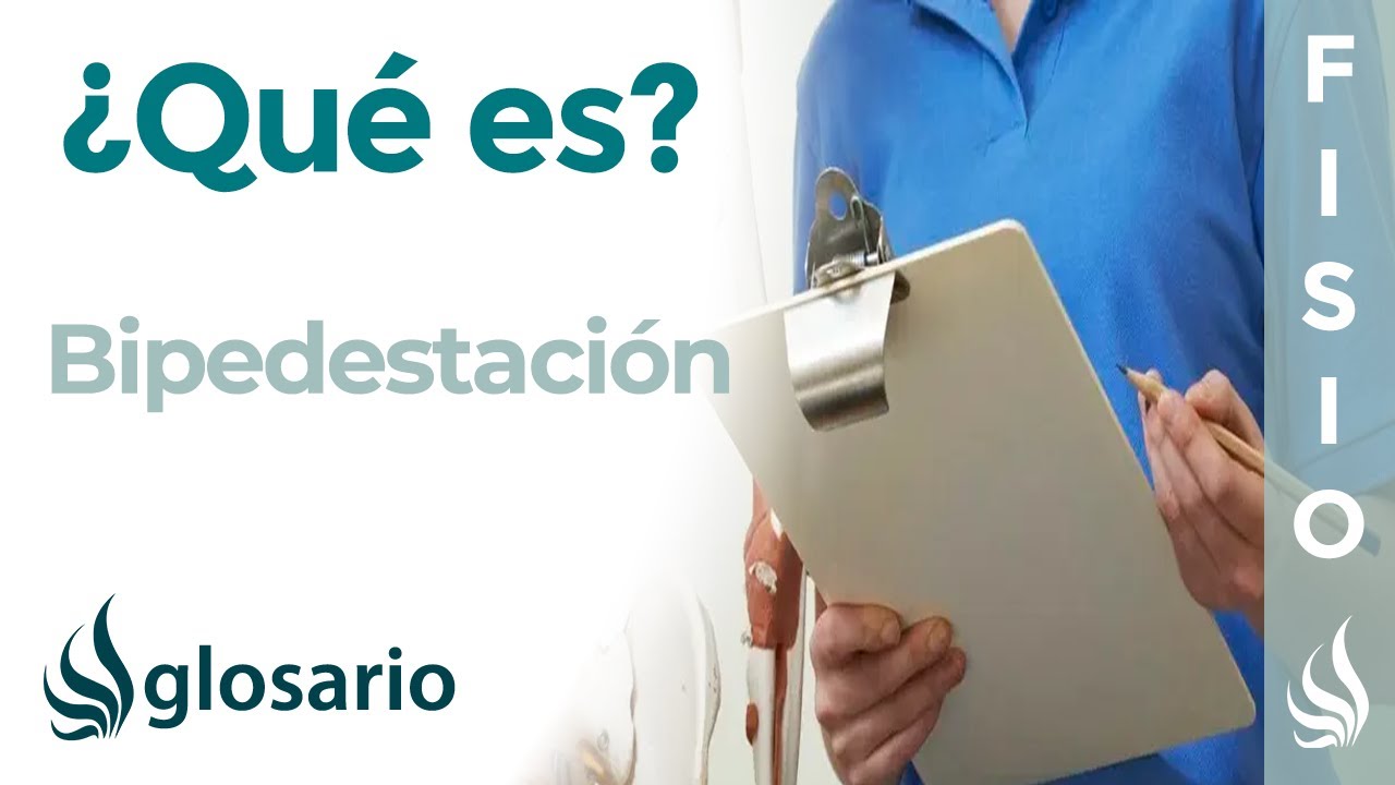 BIPEDESTACI&Oacute;N | Qu&eacute; es, c&oacute;mo se realiza, a qu&eacute; edad la comienza el beb&eacute; e importancia