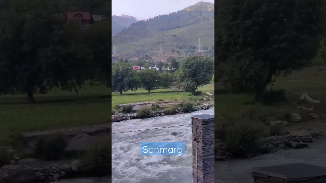 Best Hotel In Sonmarg