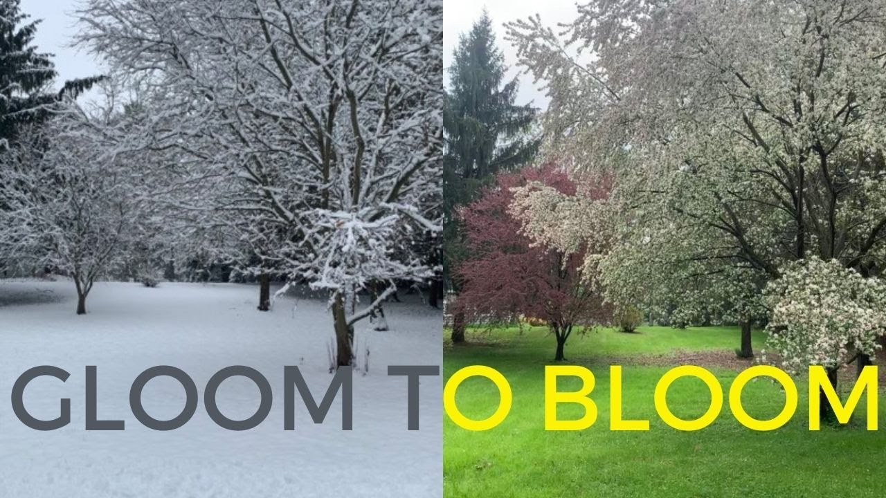 5-1-2022 | Gloom to Bloom | Pastor Mark Brooks