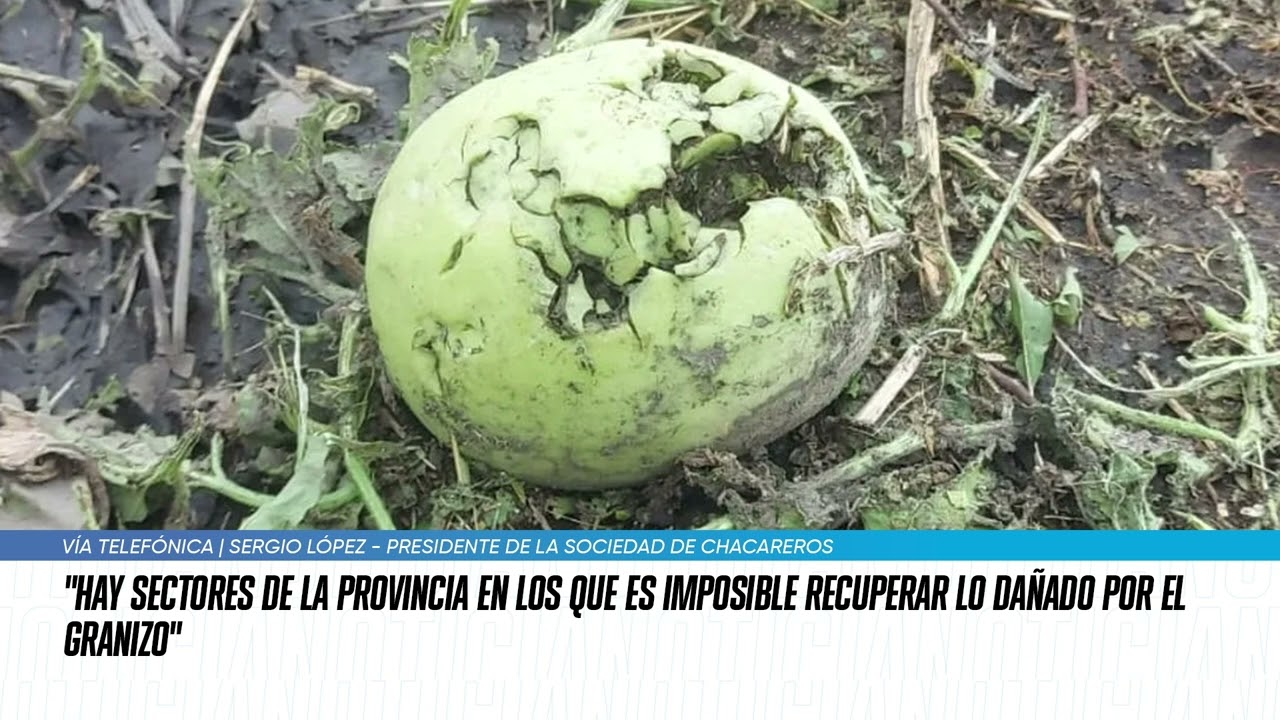 El presidente de la Sociedad de Chacareros detalló los daños que dejó el granizo en la producción