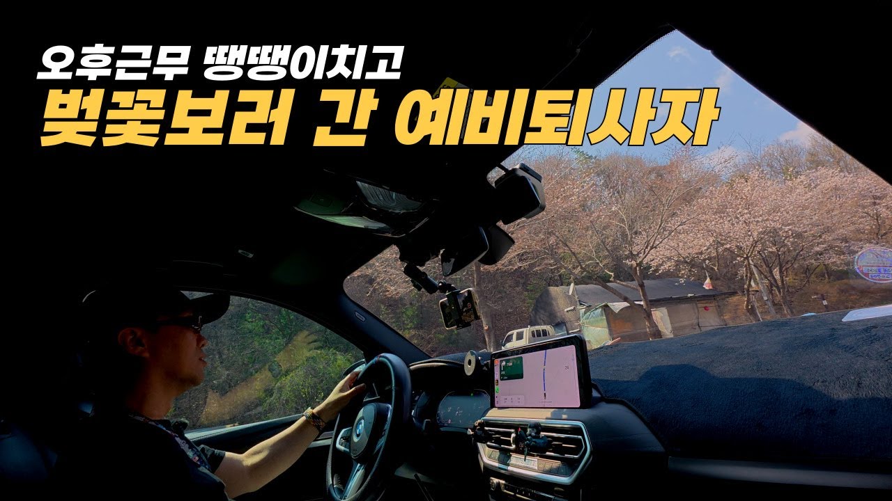 [순★두부 1화] 벚꽃 보며 퇴사 각? | 양평 왕창순대국