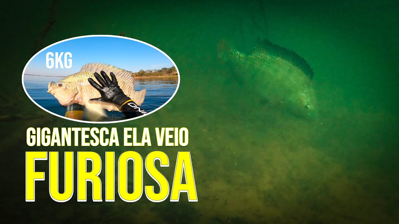 TILAPÃO DA PESCA SUB - ATASUB