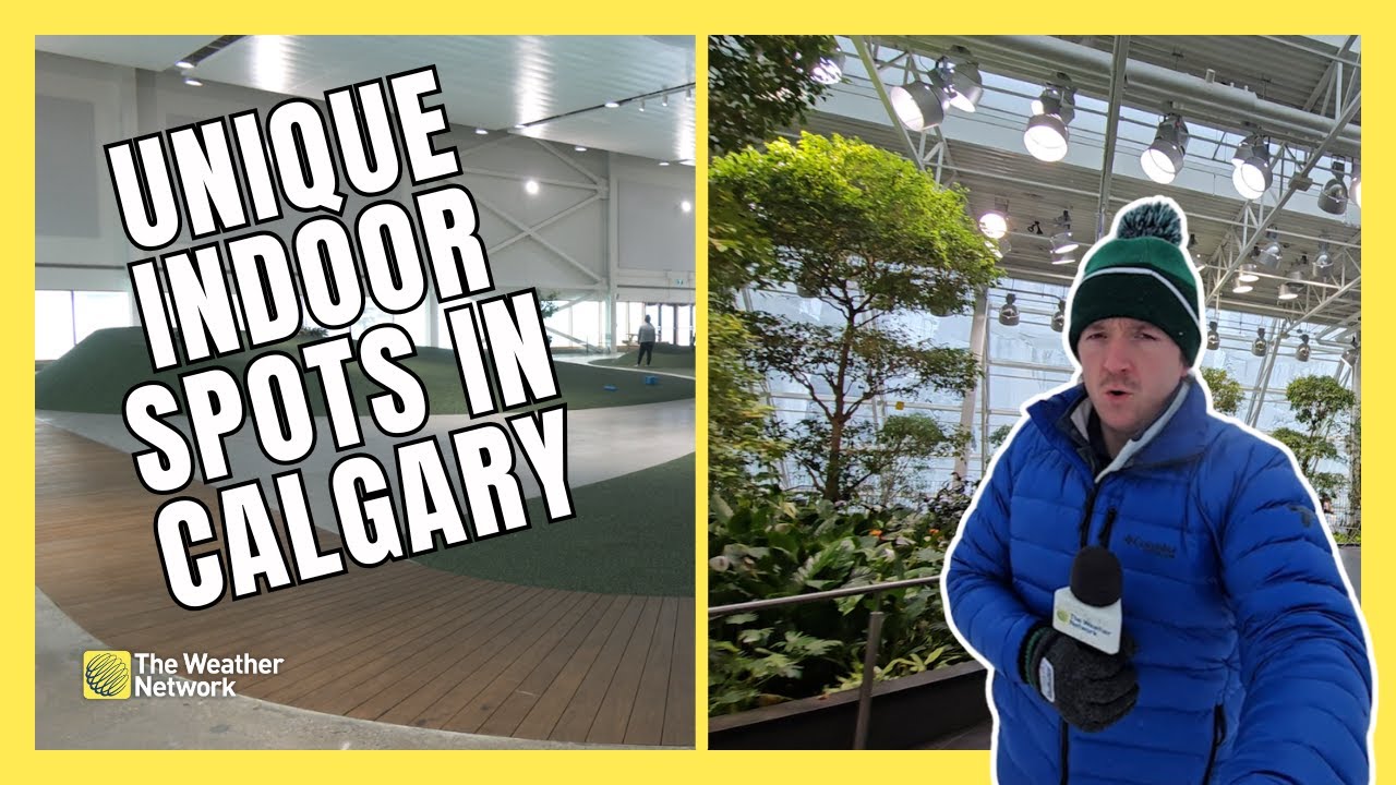 3 Unique Spots to Embrace the Great Indoors in Calgary this Winter