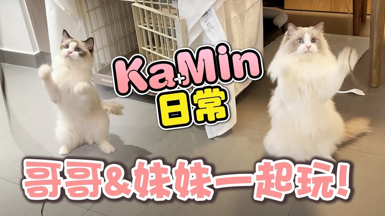 哥哥妹妹第一次一齊玩! 超可愛互動! (Kamin Vlog)
