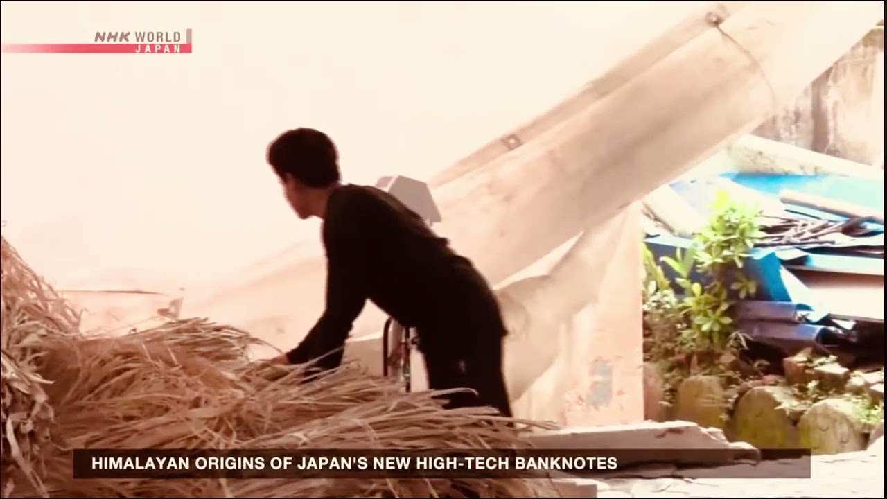 Japanese bank notes made with raw materials from Nepal
