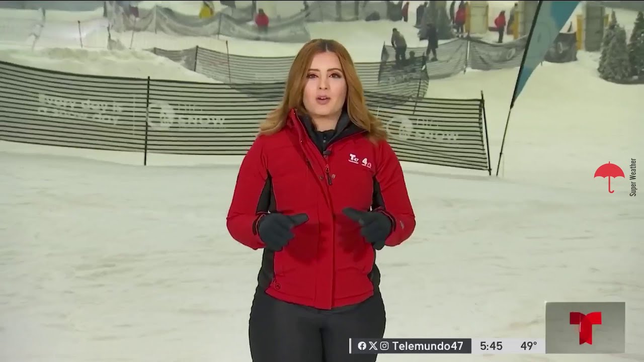 Tairy Ynoa | Weather 341