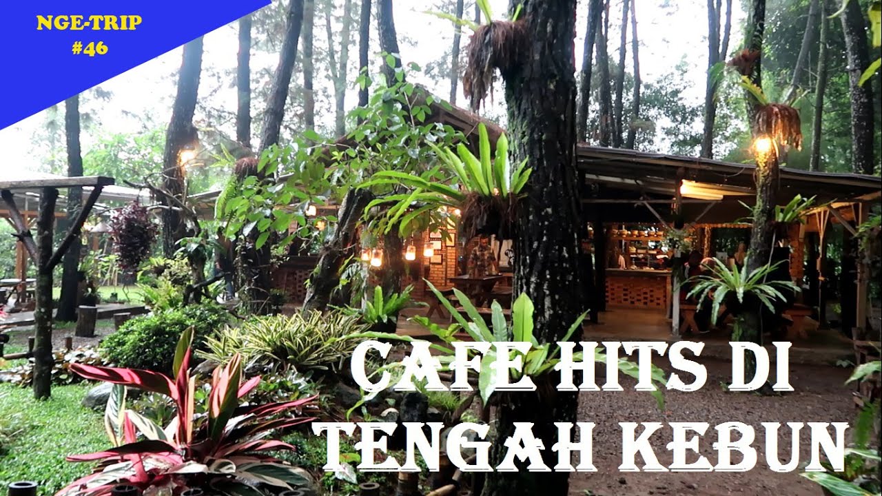 WARUNG PINUS SUBANG! Tempat Hangout di Tengah Hutan Yang Bikin Betah Lama-Lama