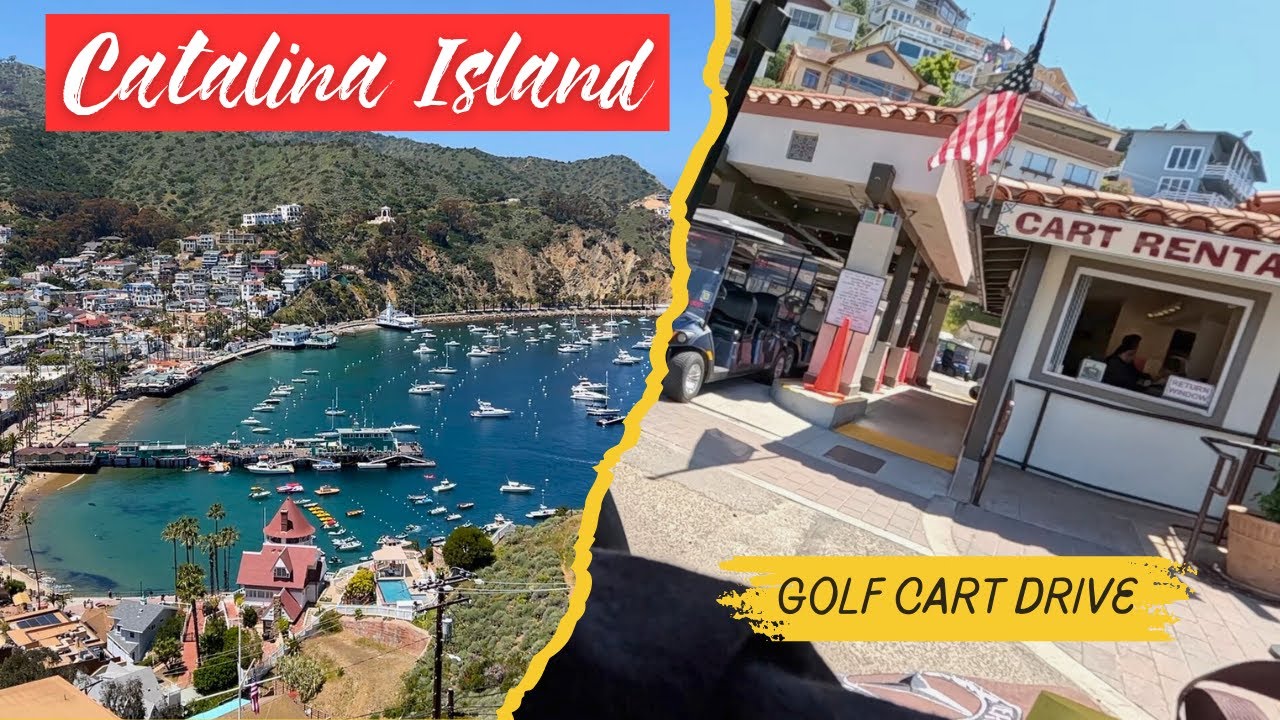 Catalina Island Golf Cart Rental drive Avalon California from the rental shop and back 