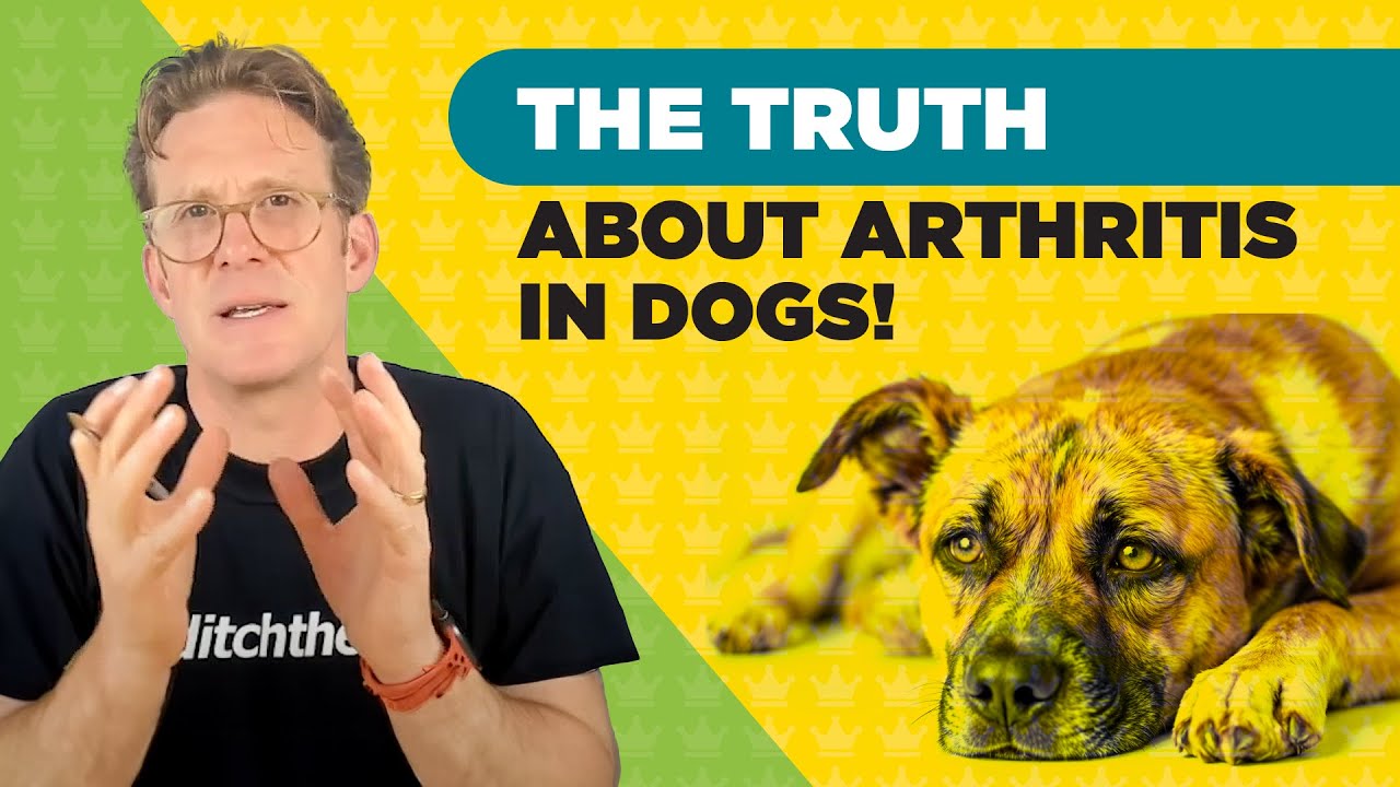 Dog Arthritis & Joint Inflammation: Signs, Causes, and Natural Solutions from Dr Nick Thompson
