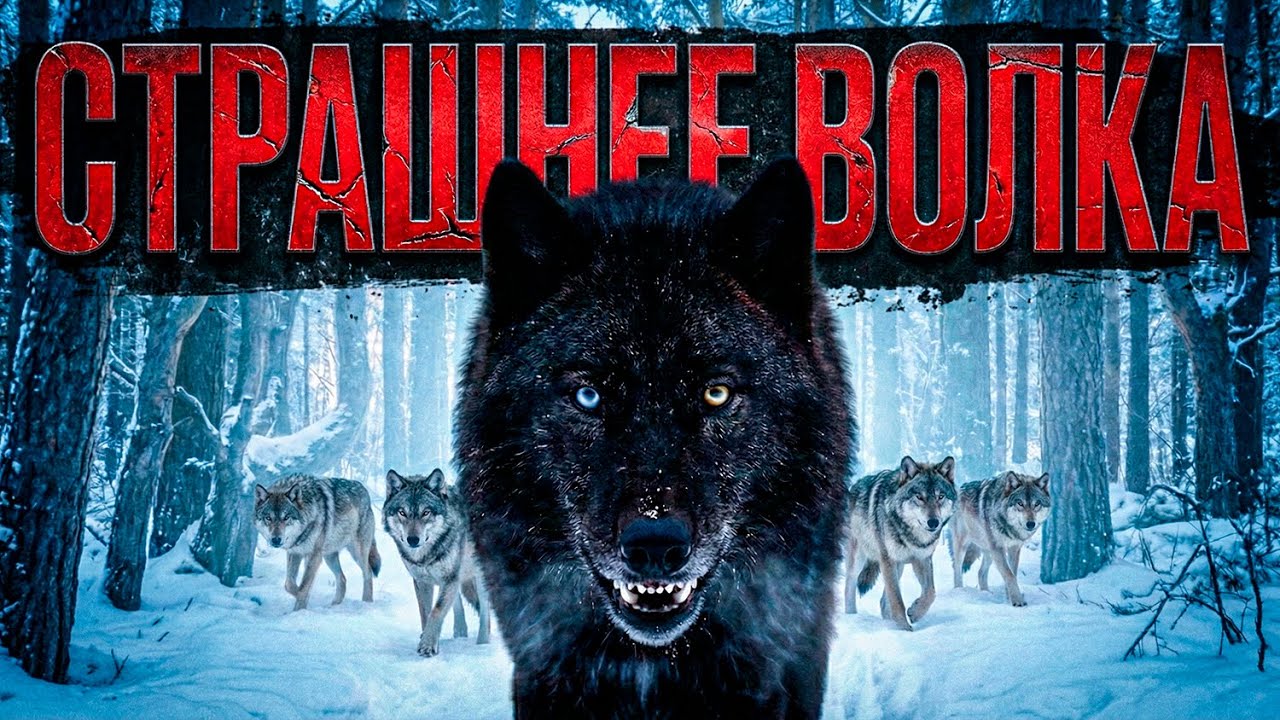 Волкособ: Хищник без страха и правил!