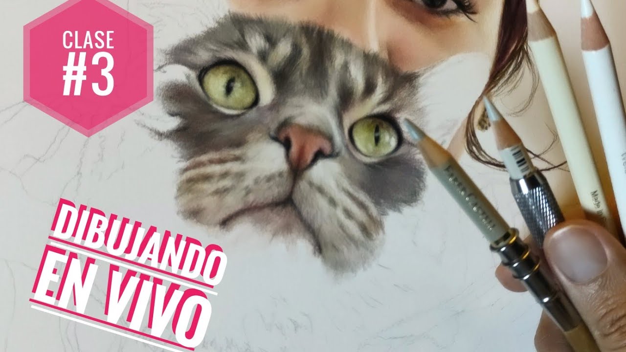 Cómo Dibujar Nariz de Gato/ Paso a Paso/ Lápices de Colores / Parte 3 #dibujando #lapicesdecolores