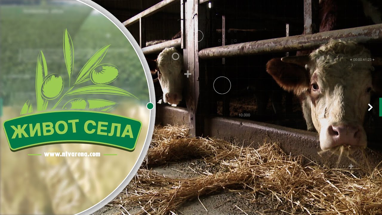 Milan Čobić duže od pola vijeka u poljoprivredi: 