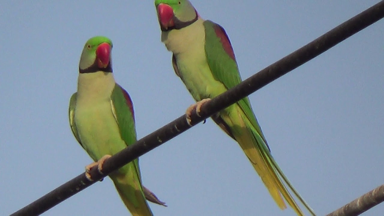 Engrossed in deep conversation