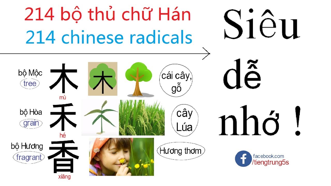214 BỘ THỦ CHỮ HÁN | 214 RADICALS CHINESE | tieng trung 5s