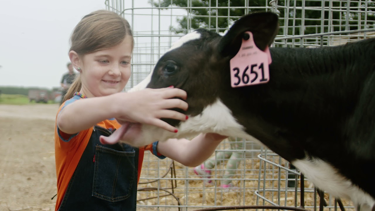 Land O’Lakes | Dairy Girl Dreamer