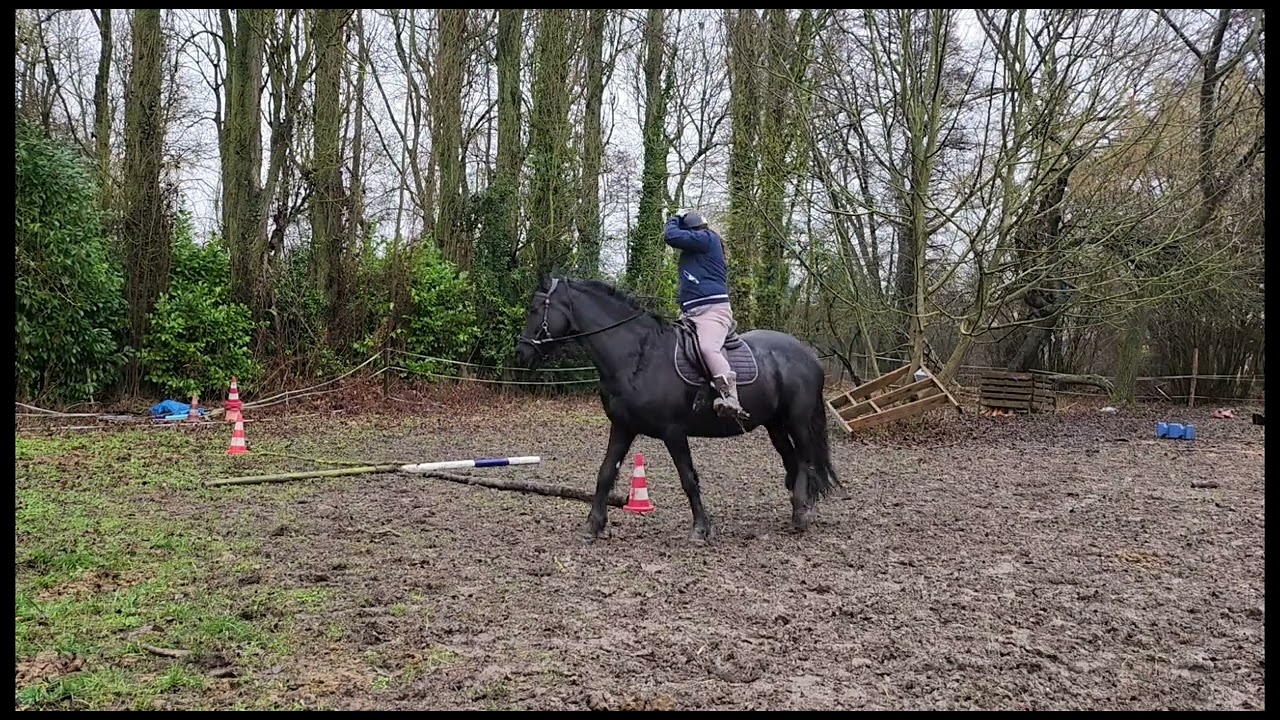 Equifeel Caval Go 26 Manche 2