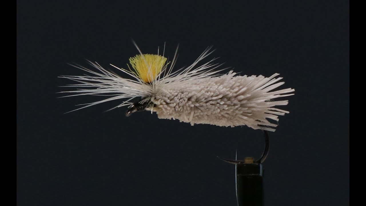 C&auml;d&auml;rin (pintaperho) sidonta