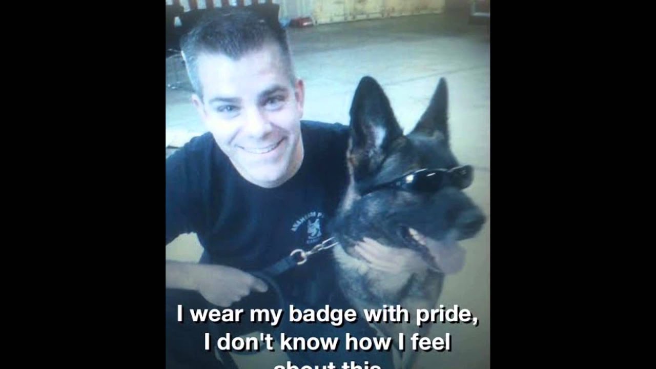 K9 Bruno Tribute to the Strong partners!